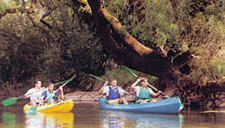 Descenso en canoas 